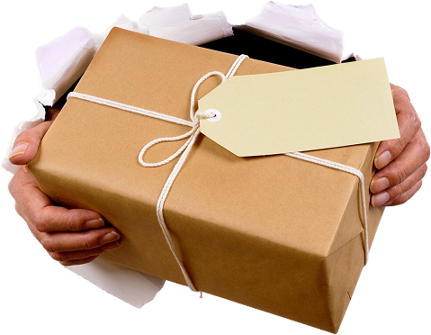 Contact Us Today